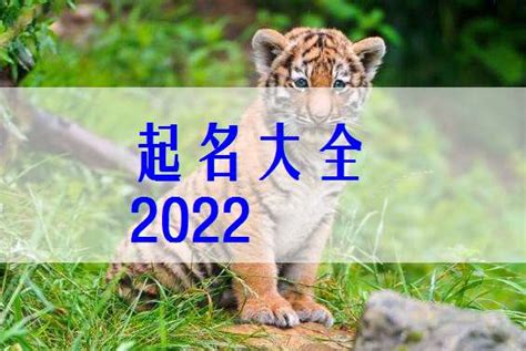 2022年虎寶寶幾月出生最好|2022年出生的虎宝宝几月最好 总体命运如何